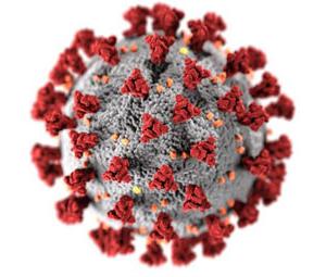 CDC illustration of COVID-19 virus showing red spikes on spherical virion
